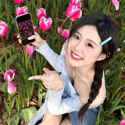 万花嬉春